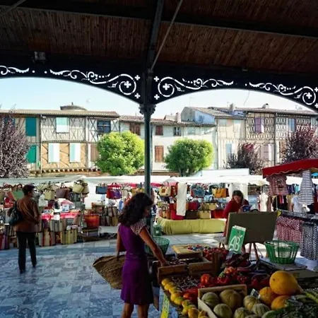 Maison Nature 5 Min Mirepoix Holiday home